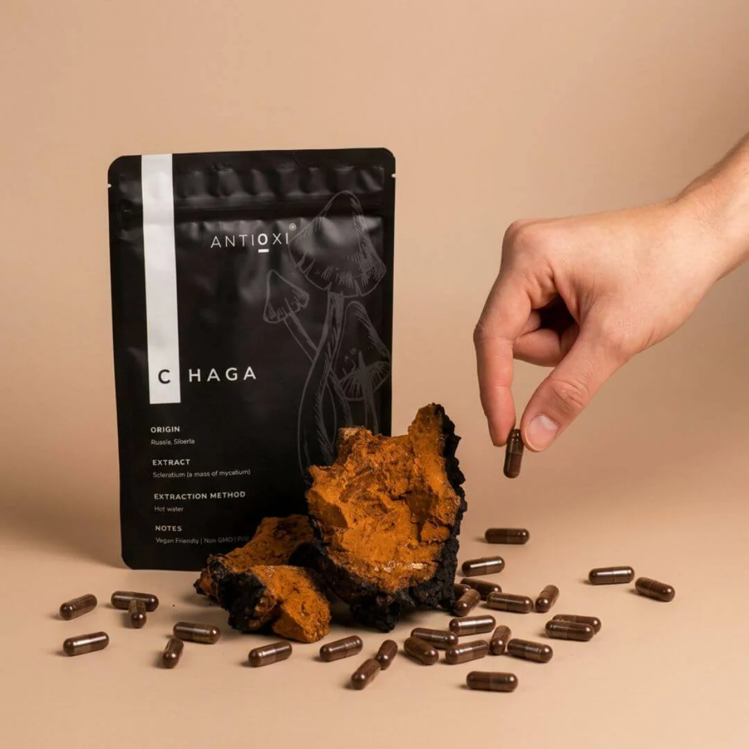 Chaga (Inonotus obliquus) Capsules